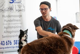 Pop-Up_Store_DoGSport_26.jpg Pop-Up_Store_DoGSport_26.jpg