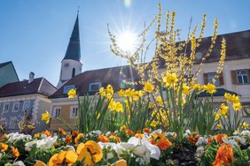 Fruehling Hauptplatz.jpg