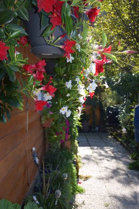 DSC_0098.jpg