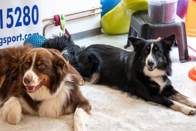 Pop-Up_Store_DoGSport_22.jpg Pop-Up_Store_DoGSport_22.jpg