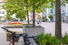 Sommerblumen_LoRes-15.jpg Sommerblumen_LoRes-15.jpg