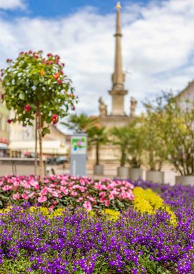 Sommerblumen_LoRes-6.jpg Sommerblumen_LoRes-6.jpg