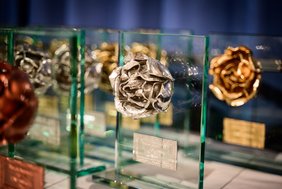 blumenolympiade2023-0216.jpg